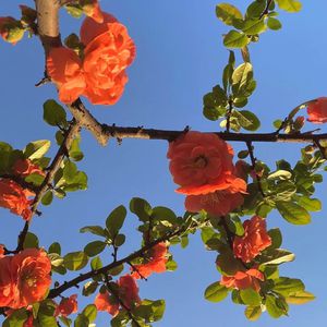 天天干在线观看
