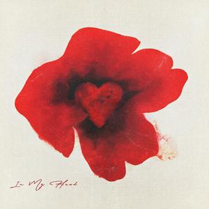 天天干在线观看
