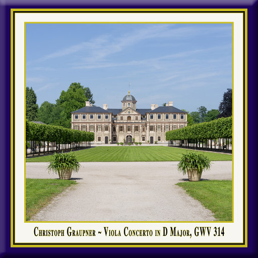 天天干在线观看
